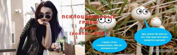 PSILOCYBIN Пестово