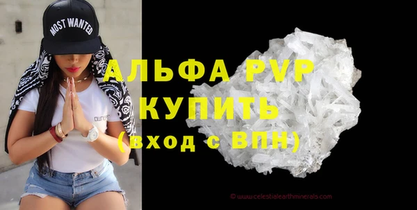 молекула духа Пересвет