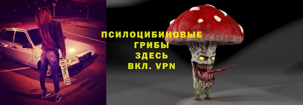 спайс Дегтярск