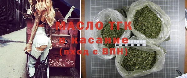 молекула духа Пересвет