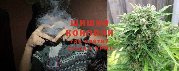 молекула духа Пересвет
