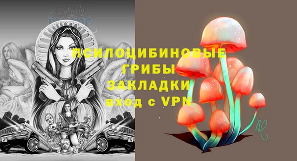 PSILOCYBIN Пестово