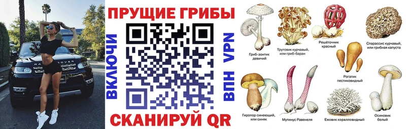кракен ссылки  Белореченск  Галлюциногенные грибы MAGIC MUSHROOMS 